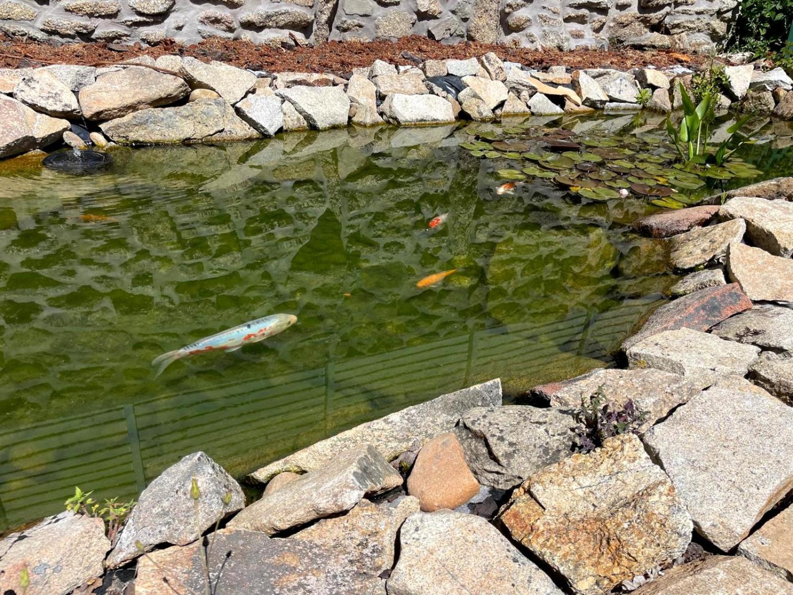 Cantinho D'Aldeia - Jacuzzi Guarda Zewnętrze zdjęcie